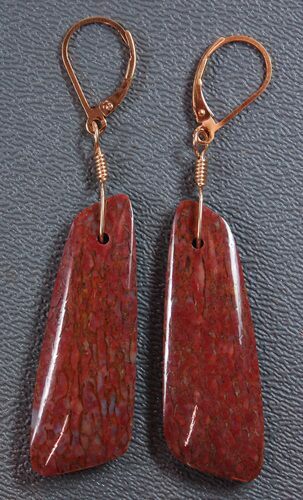 Pink Agatized Dinosaur Bone Earrings #5251